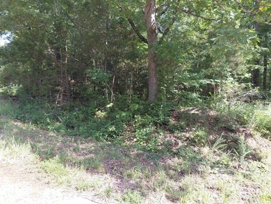 8 Lots in Ozark Acres in North Central Arkansas. Just outside - photo 23