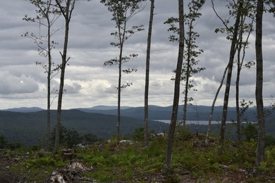 Stunning 10A+- acre Kingdom lot offering breathtaking panoramic - photo 3