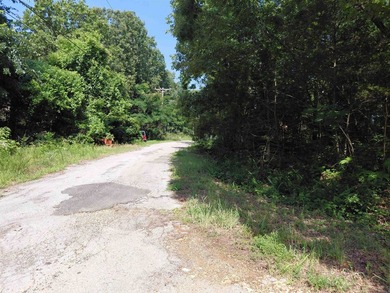 8 Lots in Ozark Acres in North Central Arkansas. Just outside - photo 24