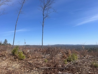 Stunning 10A+- acre Kingdom lot offering breathtaking panoramic - photo 4