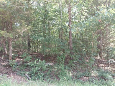 8 Lots in Ozark Acres in North Central Arkansas. Just outside - photo 25