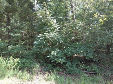 8 Lots in Ozark Acres in North Central Arkansas. Just outside - photo 26