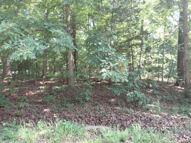 8 Lots in Ozark Acres in North Central Arkansas. Just outside - photo 27