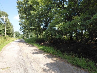 8 Lots in Ozark Acres in North Central Arkansas. Just outside - photo 28