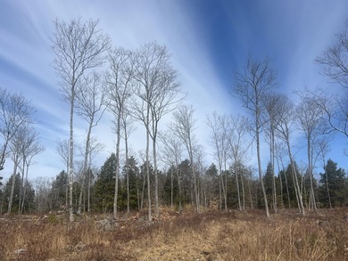 Stunning 10A+- acre Kingdom lot offering breathtaking panoramic - photo 8