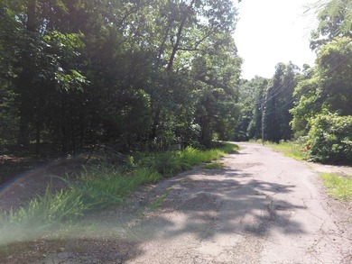 8 Lots in Ozark Acres in North Central Arkansas. Just outside - photo 29