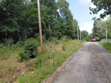 8 Lots in Ozark Acres in North Central Arkansas. Just outside - photo 30