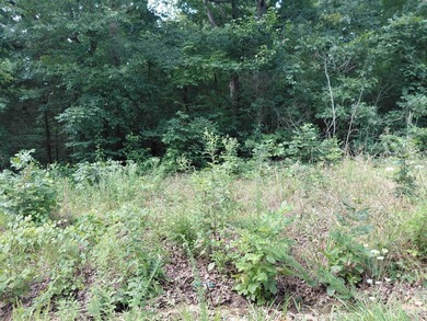 8 Lots in Ozark Acres in North Central Arkansas. Just outside - photo 31