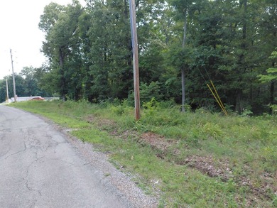 8 Lots in Ozark Acres in North Central Arkansas. Just outside - photo 32