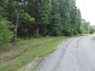 8 Lots in Ozark Acres in North Central Arkansas. Just outside - photo 33