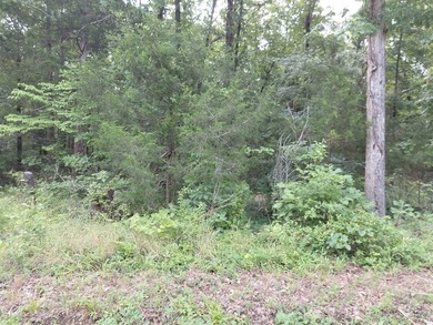 8 Lots in Ozark Acres in North Central Arkansas. Just outside - photo 34