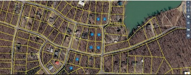 8 Lots in Ozark Acres in North Central Arkansas. Just outside - photo 36
