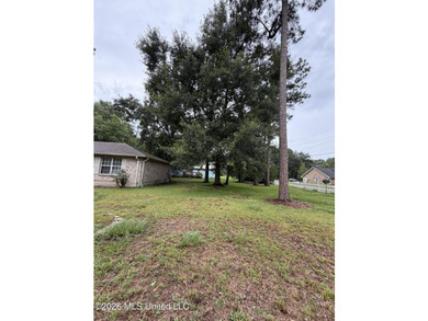 Welcome to 6173 W. Adams Street in Bay St. Louis! This spacious - photo 36