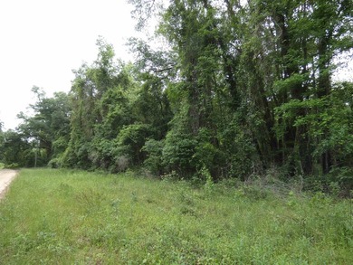Sneads Smokehouse Lake  Acreage For Sale in Greenville Florida