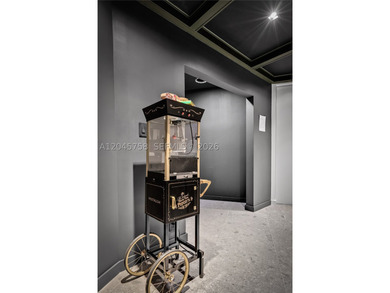 Featured on Netflix's Designing Miami, this fully renovated - photo 50
