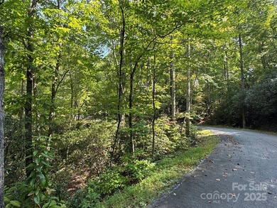 This rare and easily buildable mountain lot sits on the scenic - photo 15