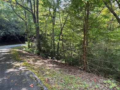 This rare and easily buildable mountain lot sits on the scenic - photo 17