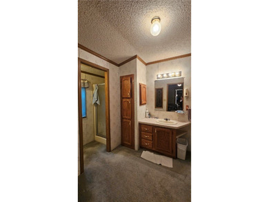 Turnkey property being sold as-is, where-is! This property - photo 18