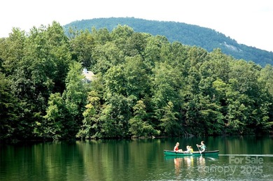This rare and easily buildable mountain lot sits on the scenic - photo 31