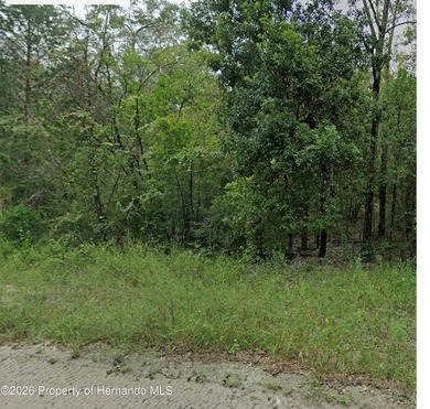 Here it is! A nice buildable Corner lot in an up and coming area - photo 1