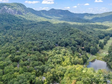 This rare and easily buildable mountain lot sits on the scenic - photo 34