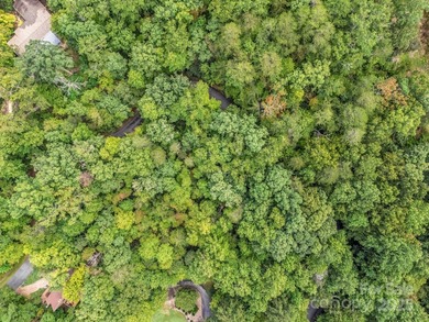 This rare and easily buildable mountain lot sits on the scenic - photo 36