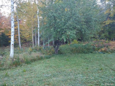 Lake Michigamme Lot For Sale in Michigamme Michigan