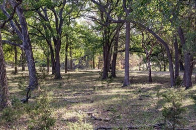 Verde Creek and Elm Creek are on this property. Elm Creek has a - photo 12