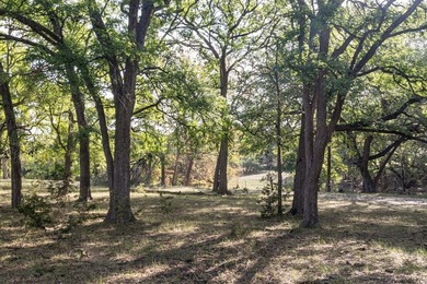 Verde Creek and Elm Creek are on this property. Elm Creek has a - photo 13