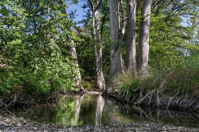 Verde Creek and Elm Creek are on this property. Elm Creek has a - photo 14