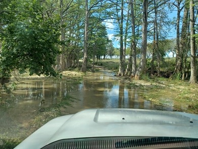 Verde Creek and Elm Creek are on this property. Elm Creek has a - photo 15