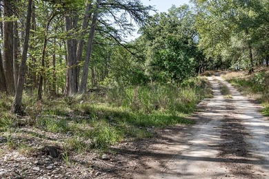 Verde Creek and Elm Creek are on this property. Elm Creek has a - photo 16