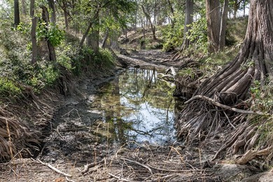 Verde Creek and Elm Creek are on this property. Elm Creek has a - photo 17