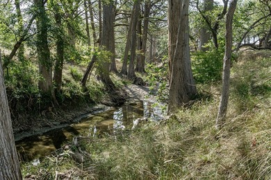 Verde Creek and Elm Creek are on this property. Elm Creek has a - photo 18