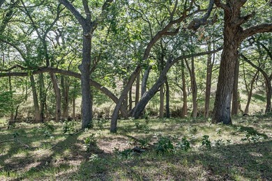 Verde Creek and Elm Creek are on this property. Elm Creek has a - photo 19