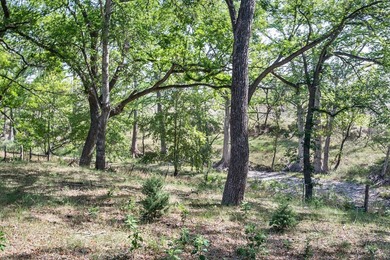 Verde Creek and Elm Creek are on this property. Elm Creek has a - photo 20