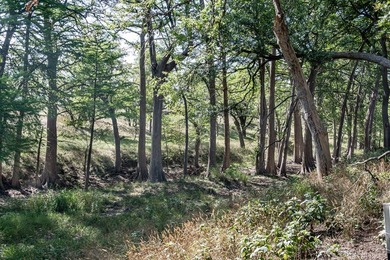 Verde Creek and Elm Creek are on this property. Elm Creek has a - photo 21