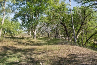 Verde Creek and Elm Creek are on this property. Elm Creek has a - photo 28