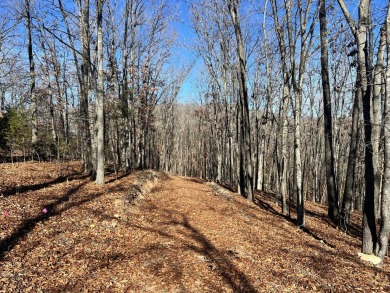 Table Rock Lake Acreage For Sale in Cape Fair Missouri