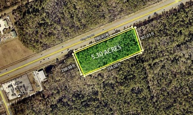 Opportunity Knocks! 5.3 Acres on Kings Bay Rd., St. Marys, GA - photo 1