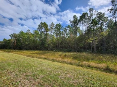 Opportunity Knocks! 5.3 Acres on Kings Bay Rd., St. Marys, GA - photo 5
