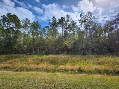 Opportunity Knocks! 5.3 Acres on Kings Bay Rd., St. Marys, GA - photo 6