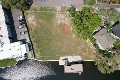 Experience the ultimate waterfront lifestyle with 219 linear - photo 4