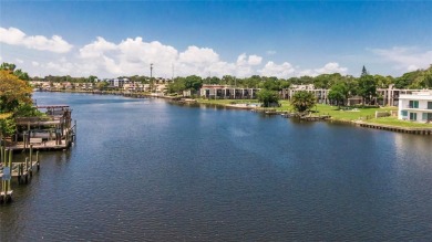 Experience the ultimate waterfront lifestyle with 219 linear - photo 6