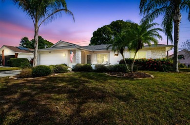 Lake Tarpon Home For Sale in Palm Harbor Florida