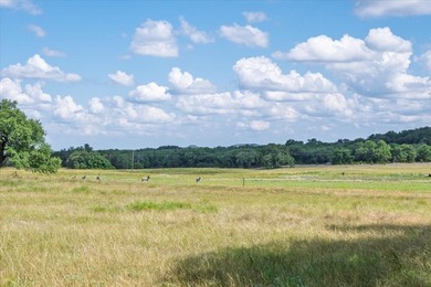 563.17+/- Acres, Private Lake Ranch, Coryell County, Texas 563 - photo 20