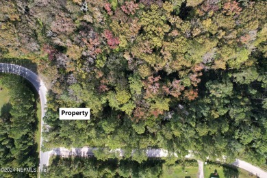 St. Johns River Lot For Sale in Satsuma Florida
