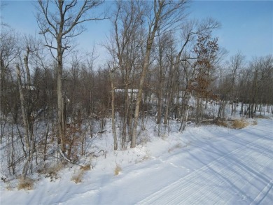 Lake Lot For Sale in Lakeside Twp, Minnesota