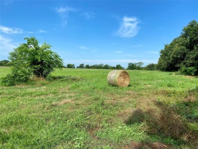Located in a few and far between, unrestricted subdivision, this - photo 2