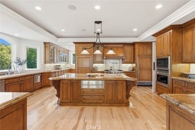 Nestled within the prestigious North Ranch Country Club Estates - photo 12